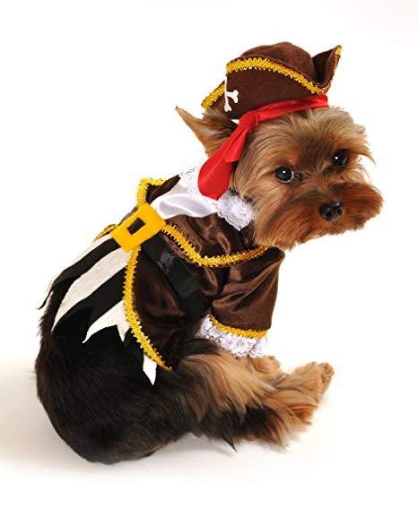 Pirate Captain Dog Costume