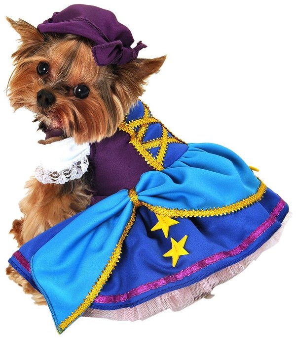 Gypsy Princess Dog Costume