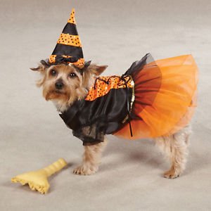 Spellhound Witch Dog Costume