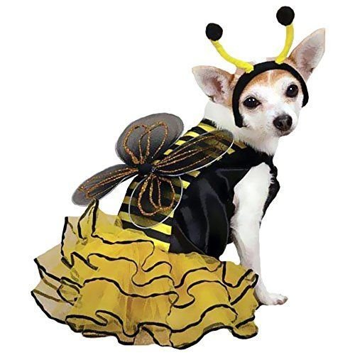 Bee Mine Dog Costume