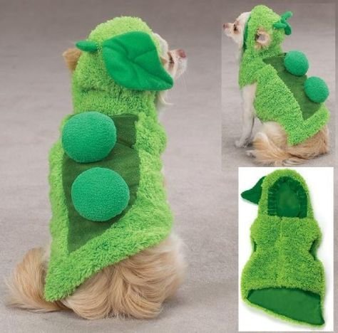 Sweet Pea Dog Costume