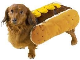 Hot Diggity Dog - Mustard
