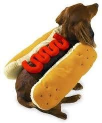Hot Diggity Dog - Ketchup