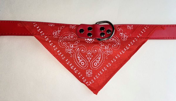 Bandana collar with white detail. Colour options available
