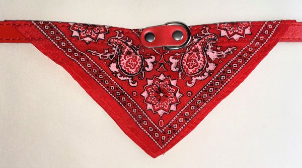 Red bandana collar with black and white detail