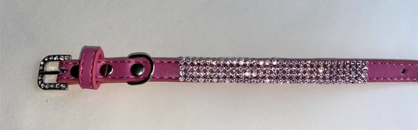 Jewelled Dog Collar with Fixed Jewel Band