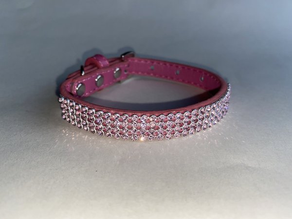 Jewelled Dog Collar with Fixed Jewel Band