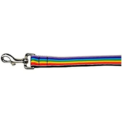 Rainbow Stripes 3/8 inch wide 4Ft Leash