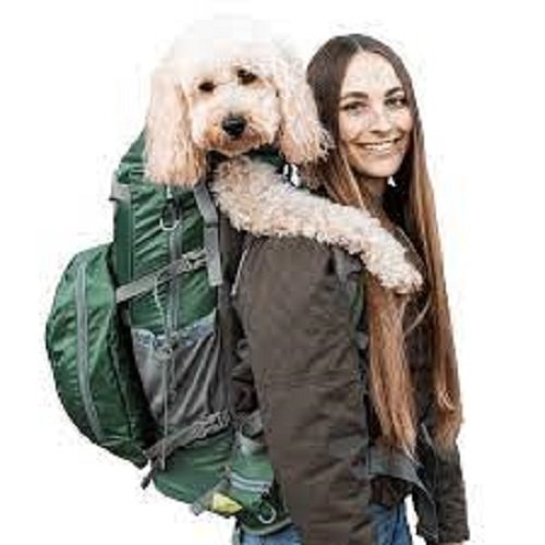 K9 Sport Sack Kolossus formerly ROVER 2 - For bigger dogs (30lbs to 80lbs)